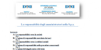 la responsabilitc3a0 degli amministratori nella s p a 1