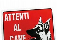 attenti al cane 1