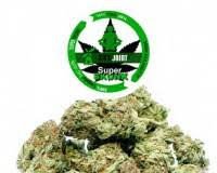cannabis light